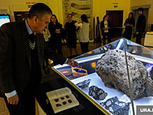 В Челябинске уходит в отставку директор областного краеведческого музея