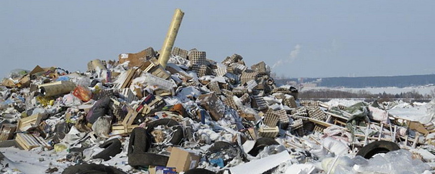 В Бердске подписывают петиции против строительства мусорного полигона