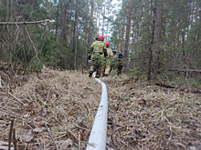 Спасатели локализовали крупный лесной пожар в Свердловской области