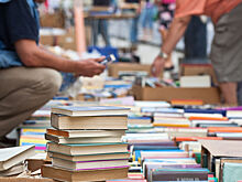 В Коломне прошел ежегодный яблочно-книжный фестиваль