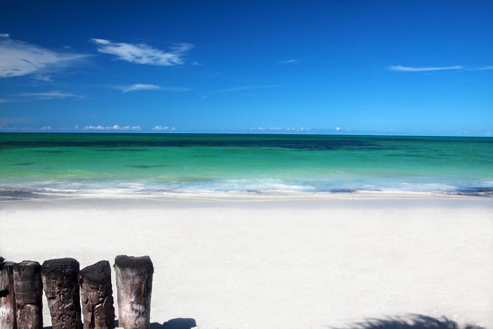 Остров Занзибар, Танзания, Африка