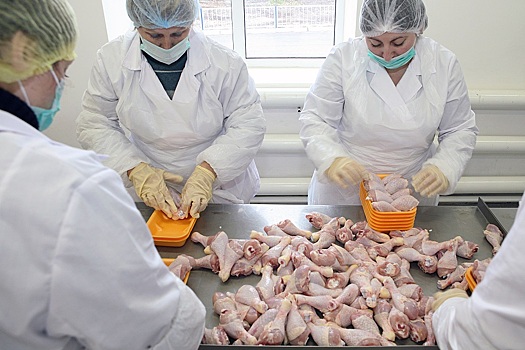 Аналитики оценили перспективы выпуска в России мяса птицы в 2024 году