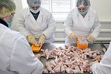 Беспошлинный импорт курятины не привёл к снижению цен &ndash; производители