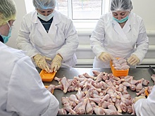 Аналитики оценили перспективы выпуска в России мяса птицы в 2024 году