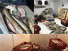 Суд вынес приговор инспектору Росрыболовства за торговлю краснокнижной рыбой