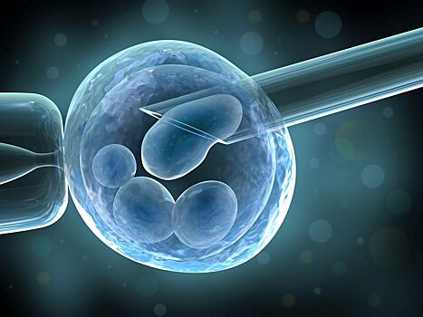 Ученые впервые вырастили двухнедельный человеческий эмбрион вне тела матери