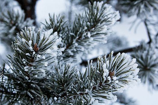 Крепкий мороз вот-вот ударит по промокшему Кемерову