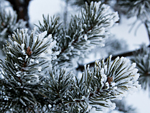 Крепкий мороз вот-вот ударит по промокшему Кемерову