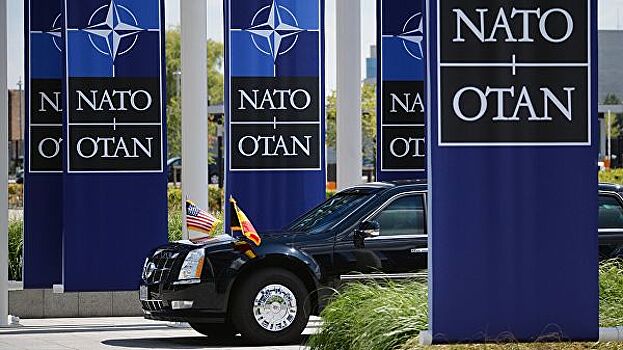 Эксперт оценил реакцию в НАТО на послание Путина