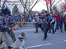 Грозин рассказал, возможен ли в Киргизии майдан по украинскому сценарию