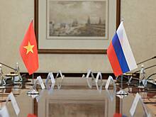 Востоковед Мосяков рассказал о перспективах сотрудничества России и Вьетнама