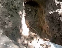 В Курске в Знаменской роще нашли новые останки людей на месте массовых расстрелов