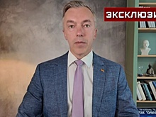 Экс-депутат Бундестага оценил загадочные смерти кандидатов от «АдГ»