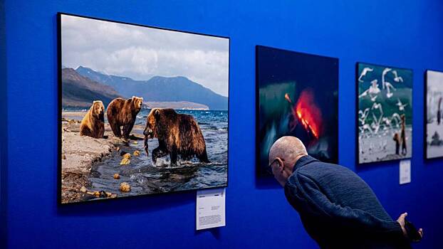 Росгидромет внедрит сервис оценки качества воздуха