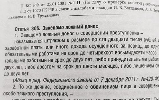 Девять уголовных дел за заведомо ложный донос было передано в суд