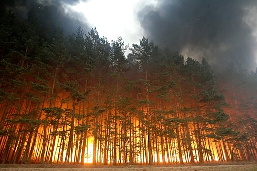Уповать на Бога: Эколог представил мрачный прогноз о сибирских пожарах