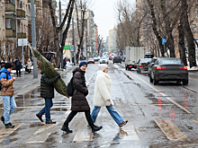 Москвичам разрешили бесплатно провозить определенные новогодние елки в метро