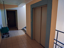 Жители Екатеринбурга пытались заразить многодетную соседку COVID-19