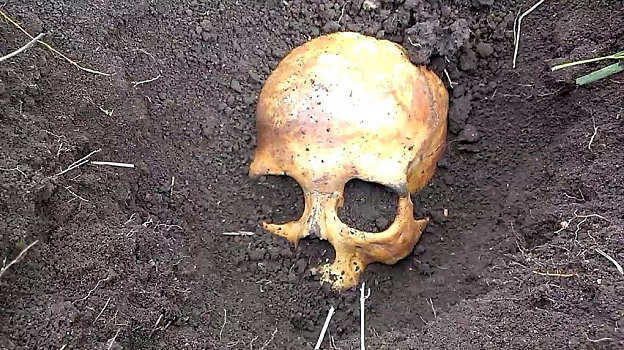 В Воронежской области новый хозяин дома нашёл в погребе останки человека