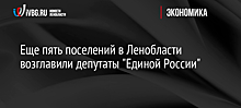 Еще пять поселений в Ленобласти возглавили депутаты "Единой России"