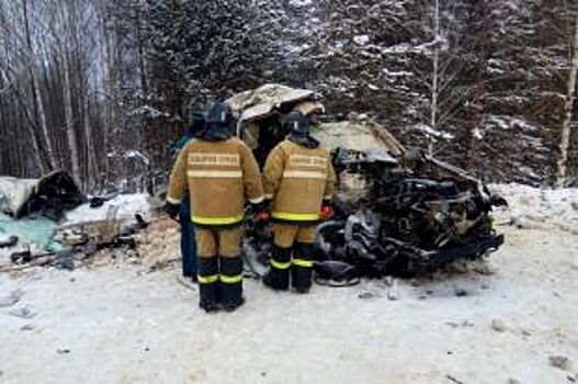 В результате ДТП в Касимовском районе погибли два человека