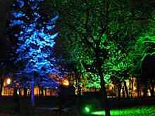 В Госдуме посоветовали Собянину не тратить миллиарды на подсветку деревьев