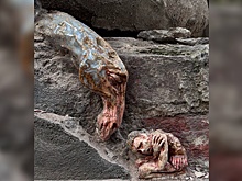 Художница из Петербурга создает арт-объекты прямо в трещинах исторических домов