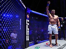 Вадим Немков — Тимоти Джонсон, PFL Champions Series, 25 января 2025, кто победил, как закончился бой, результаты турнира