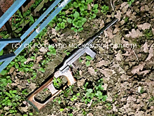Попытка успокоить шумную компанию во дворе закончилась смертью женщины в Подмосковье
