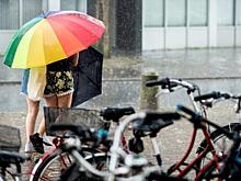 МВД проверит Netflix на пропаганду ЛГБТ