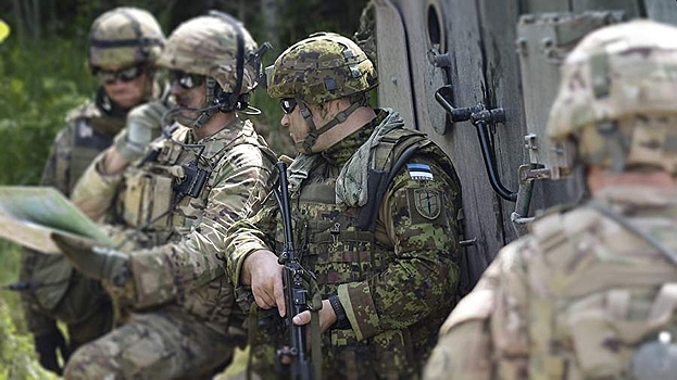 В Эстонии заявили о готовности направить военных на Украину
