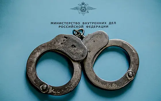 МВД России проводит проверку по установлению всех натурализованных граждан, совершивших преступления