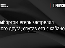 Под Выборгом егерь застрелил пожилого друга, спутав его с кабаном