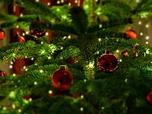 Россиянам разъяснили штрафы за елки в подъездах