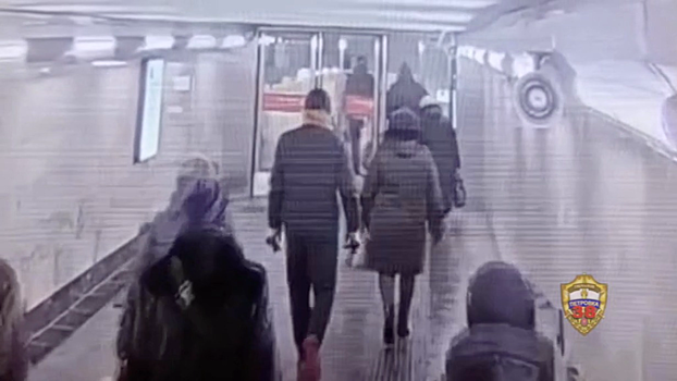 Безработного москвича задержали после ограбления пенсионерки в переходе станции метро «Окская»