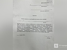 Нижегородских медиков призвали отдать часть зарплаты на помощь беженцам из Донбасса