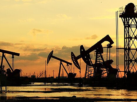 Аналитик оценил идею ввода налога на сверхприбыль для нефтегазовых компаний