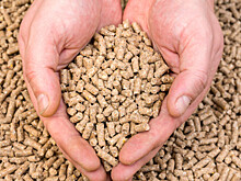 Завод по производству комбикорма мощностью 20 тонн в час открылся в Кыргызстане