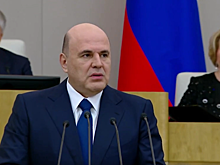 Михаил Мишустин: Большая доля нелегальной миграции угрожает общественной стабильности