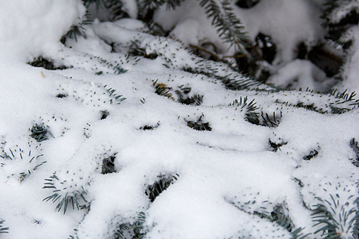 Синоптики спрогнозировали похолодание до -19°C и снег в воскресенье в Кузбассе