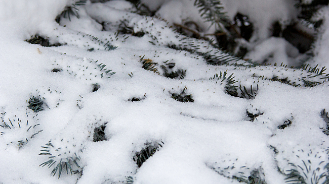 Синоптики спрогнозировали похолодание до -19°C и снег в воскресенье в Кузбассе