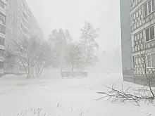 Снежная буря накроет Новосибирск 10 января 2026 года