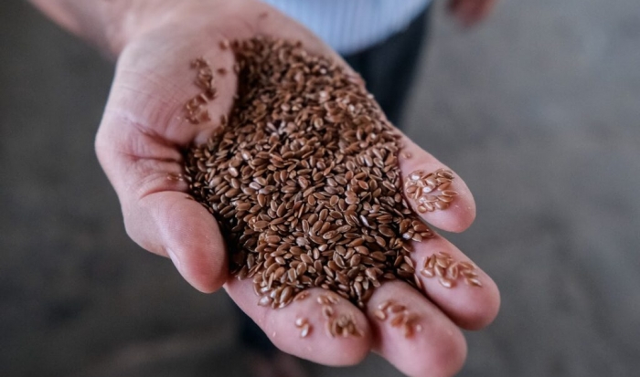 В Волгоградскую область поступило 1,5 тонны семян из Франции
