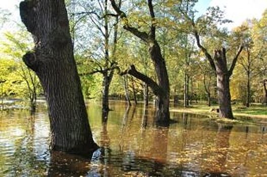 Парк в Сестрорецке ушел под воду
