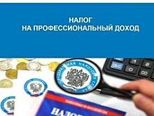 «Налог на профессиональный доход» начнет действовать на территории Иркутской области с 1 июля 2020 года