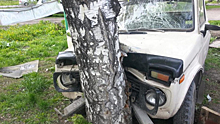 В Воронежской области «ВАЗ» влетел в дерево: пострадали пять человек