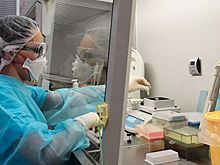 Еще четверо заболевших коронавирусом выписаны из больницы в Москве