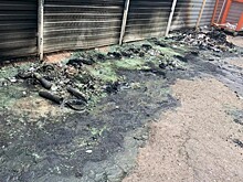 За месяц поджигатели уничтожили девять мусорных контейнеров