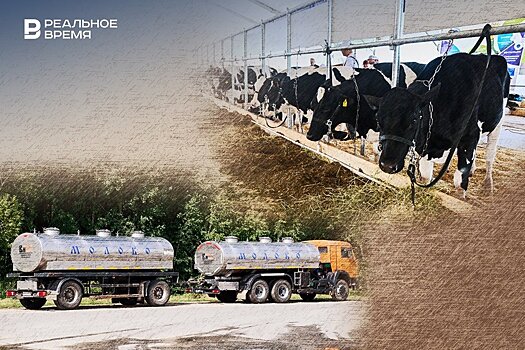 Молоко без коров: в Татарстане вновь сокращается дойное стадо