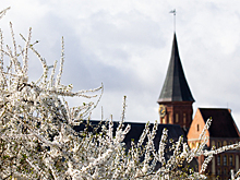 «Край света», «Фиштиваль» и «День с викингами»: 13 идей, как провести первые выходные мая